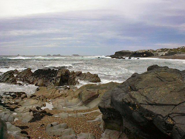 ../Images/Im000085.jpg