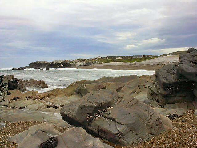 ../Images/Im000086.jpg