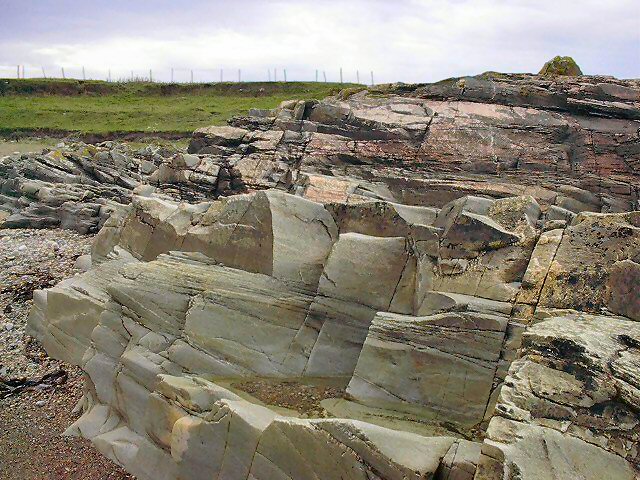 ../Images/Im000089.jpg