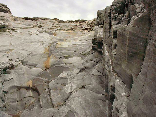 ../Images/Im000091.jpg