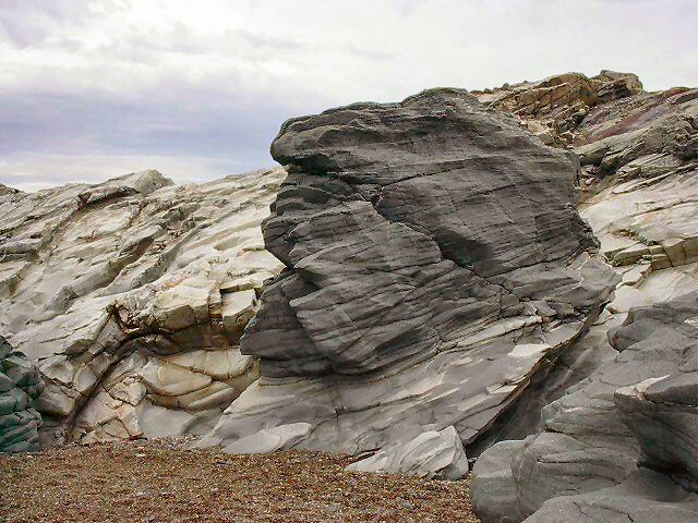 ../Images/Im000092.jpg