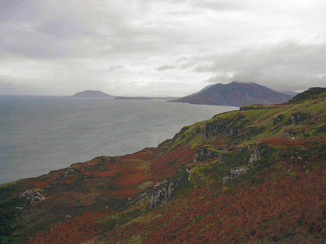../Images/Im000110.jpg